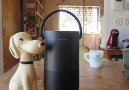 tés Test Bose Portable Home Speaker
