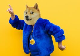 Crypto: 3 Best Services to Buy Dogecoin in Euro (2021)