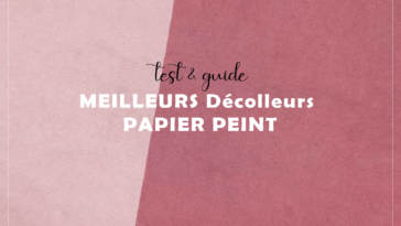 Liste Les Meilleurs décolleurs papier peint pour enlever facilement du vieux papier peint (édition 2021)