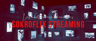 Sokroflix Streaming : 21 Meilleures Alternatives pour regarder des Films et Séries (édition 2020)