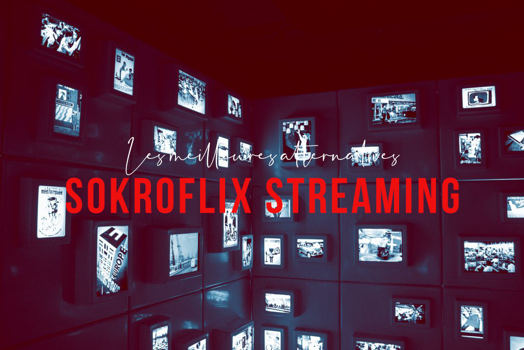 Sokroflix Streaming : 21 Meilleures Alternatives pour regarder des Films et Séries (édition 2020)