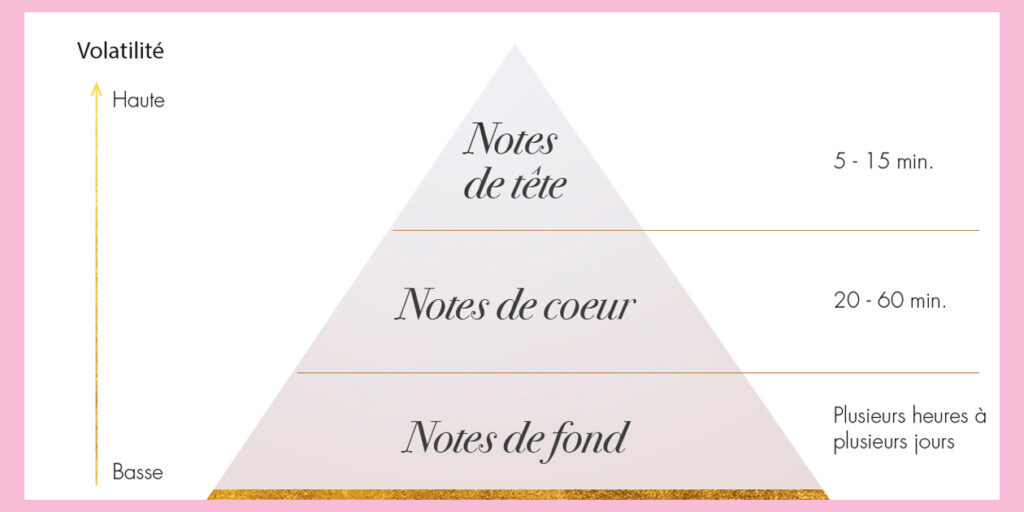 Quelles sont les notes d'un parfum ?