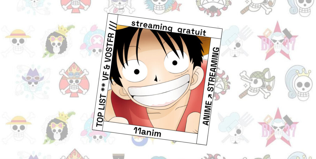 Meilleur Site De Streaming Pour One Piece 11anim : 10 Meilleurs Sites de Streaming Gratuits pour Regarder One