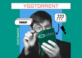 Guide - Comment Télécharger des Torrents sur YggTorrent