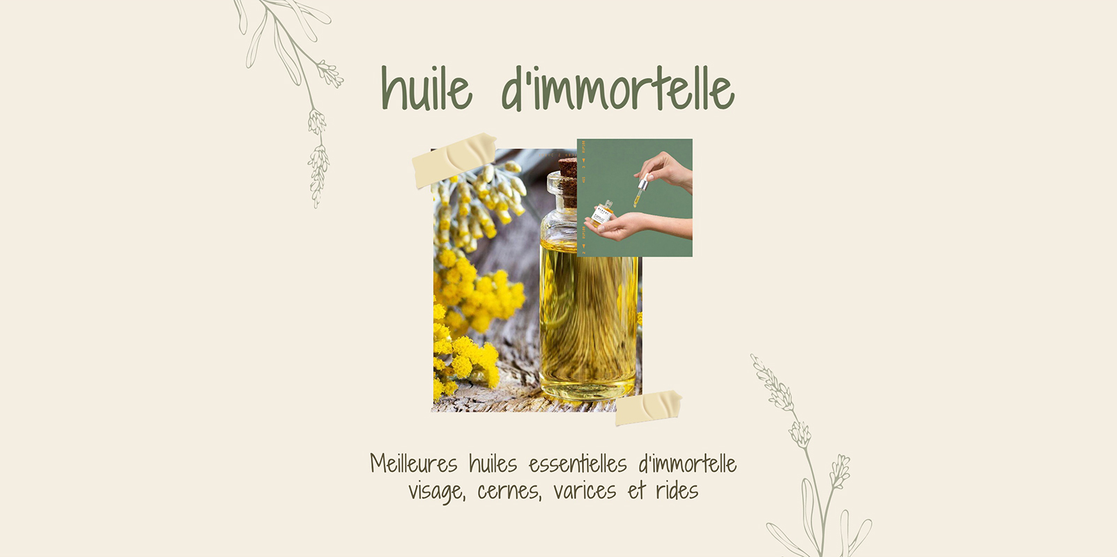 Italian Helichrysum: Akanyanya Immortelle Akakosha Mafuta eChiso, Rima Denderedzwa, Varicose Veins uye Wrinkles