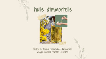 Hélichryse italienne : Meilleures huiles essentielles d’immortelle pour visage, cernes, varices et rides