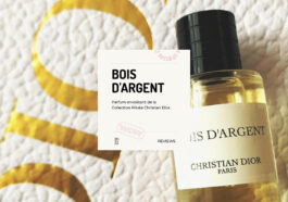 Parfum Bois d'Argent : La Fragrance mixte de Dior pour hommes et femmes