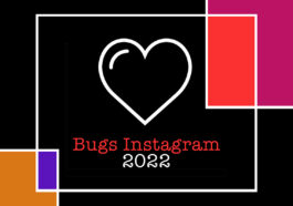 Instagram Bug MMXXII: X Clementine_Vulgate Instagram Problematum et Solutiones