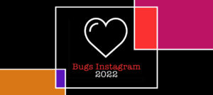 Ошибка Instagram 2022: 10 распространенных проблем и решений Instagram