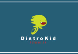 DistroKid：低成本音乐发行商