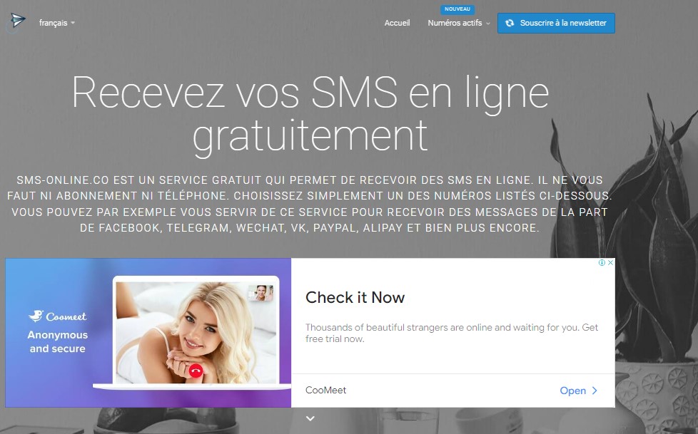 Sms-online.co : 4 services numéro virtuel sms jetable gratuits