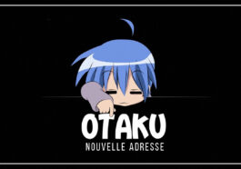 Streaming : Quelle est la nouvelle adresse officielle de Otakufr ?
