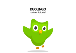 دليل ومراجعة تطبيق duolingo لتعلم اللغة عبر الإنترنت