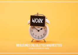 Top: Best Free Mauricettes Calculators to Calculate Working Hours