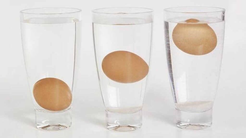 كيف تعرف أن البيضة منتهية الصلاحية؟