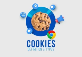 Cookie Internet: Naon eta? Harti, Asal, Jinis sareng Privasi