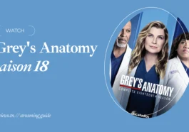 Dimana nonton streaming Grey's Anatomy Season 18: Hulu atanapi Netflix?