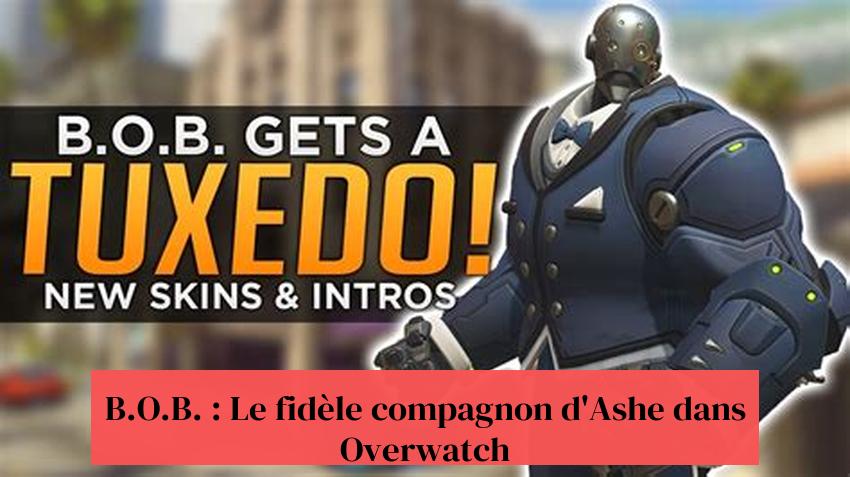 B.O.B. : Le fidèle compagnon d'Ashe dans Overwatch