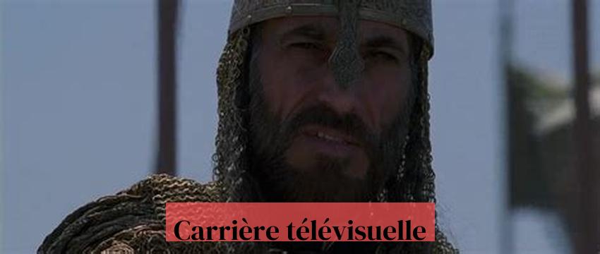 Carrière télévisuelle