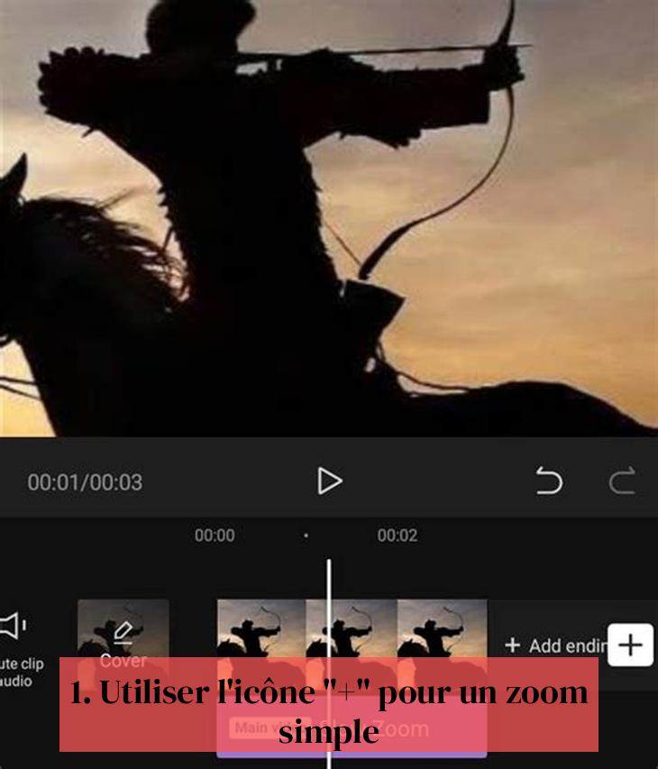 1. Utiliser l'icône "+" pour un zoom simple