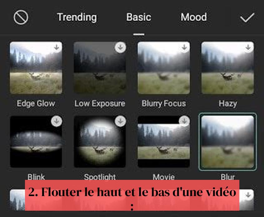 2. Flouter le haut et le bas d'une vidéo :