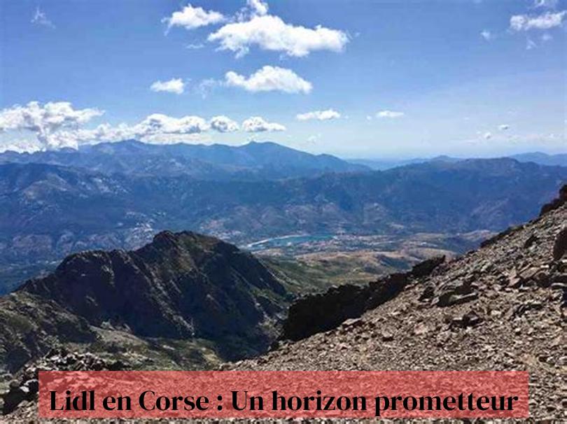 Lidl en Corse : Un horizon prometteur