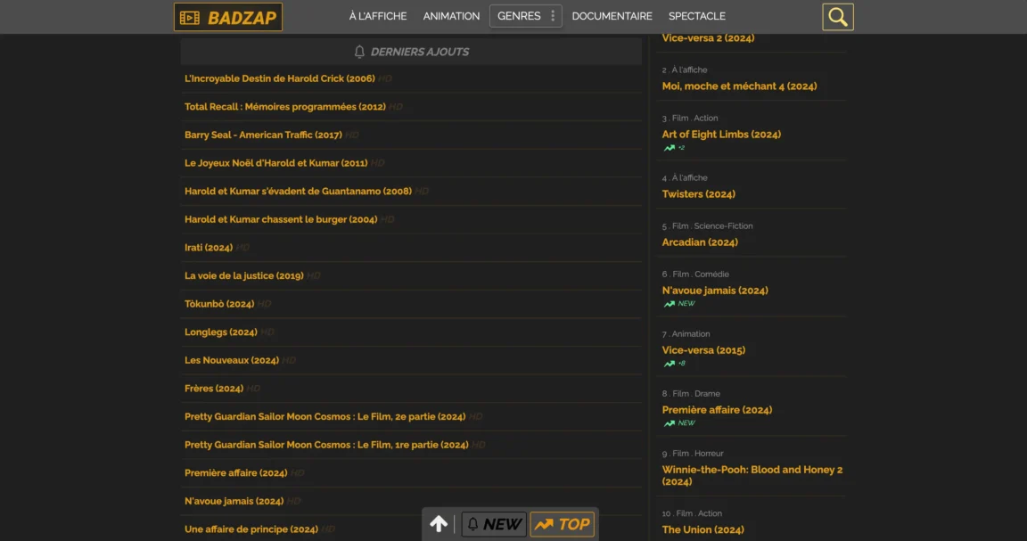 Badzap Streaming : Quelle est la nouvelle adresse valide?