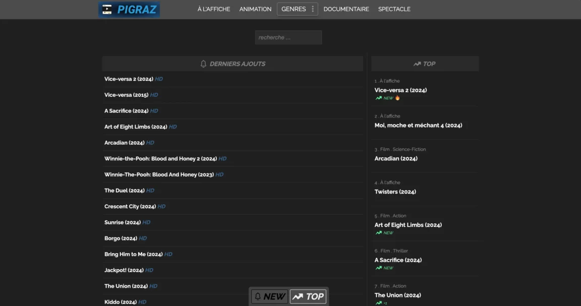 Pigraz Streaming : Quelle est la nouvelle adresse ?