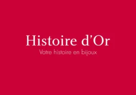 code promo histoire d'or