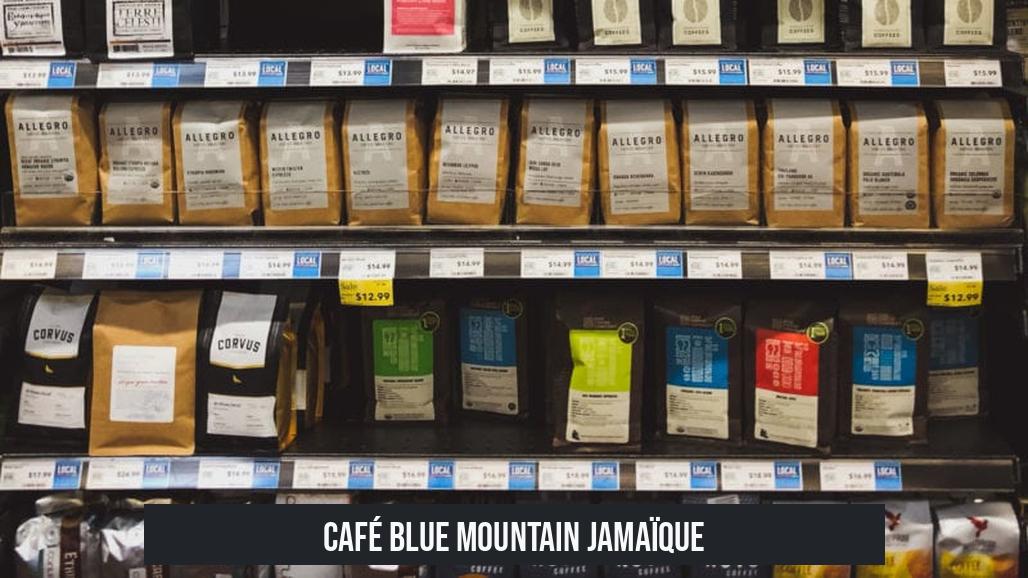 Café Blue Mountain Jamaïque